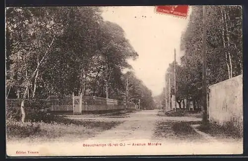 AK Beauchamps, Avenue Morère bordée d`arbres et clôtures élégantes