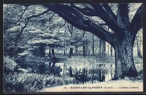 AK Saint-Leu-la-Forêt, L`Étang Godard et la forêt environnante