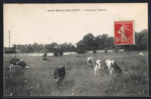 AK Saint-Brice-sous-Forêt, Prairie du Château avec vaches paissant