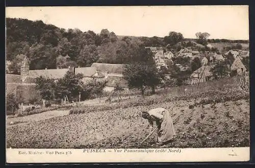 AK Puiseaux, Vue Panoramique (côté Nord)