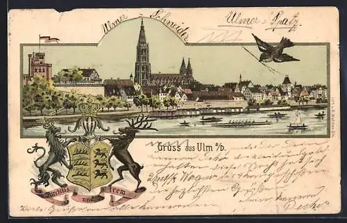 Lithographie Ulm / Donau, Totalansicht mit Münster
