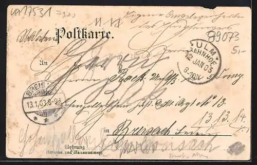 Lithographie Ulm / Donau, Totalansicht mit Münster