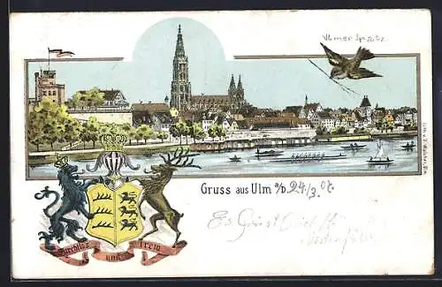 Lithographie Ulm / Donau, Totalansicht mit Münster
