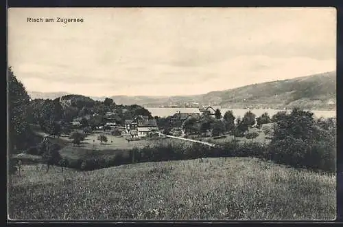 AK Risch am Zugersee, Totalansicht