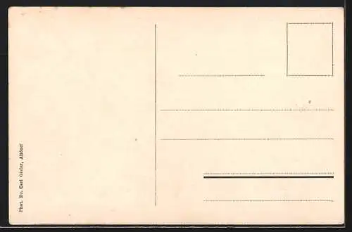 AK Risch am Zugersee, Totalansicht