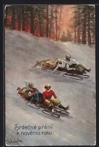 AK Männer und Frauen auf zwei Schlitten, Neujahrsgruss