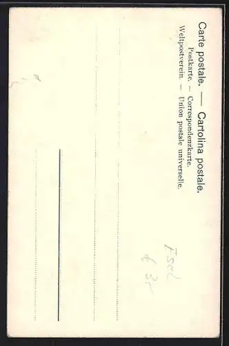 AK Junger Bursche mit bepacktem Maultier