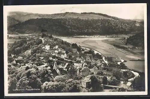 AK Pappenheim / Bayern, Blick auf die Burg