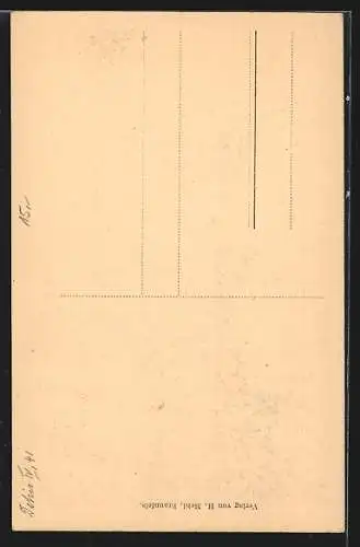 AK Braunfels, Partie aus dem Burggarten