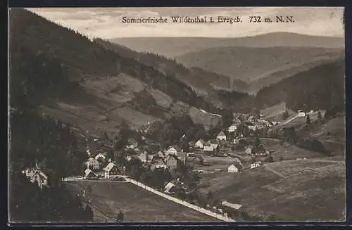 AK Wildenthal / Erzgeb., Gesamtansicht
