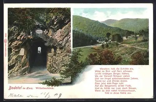 AK Bodetal im Harz, Wilhelmsblick, Landschaftsblick