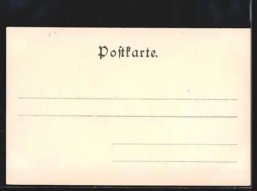 AK Elsässerin in Tracht an einem Zaun anlehnend