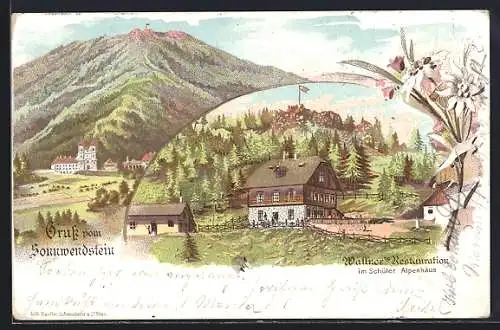 Lithographie Schottwien, Wallners Restauration im Schüler Alpenhaus auf dem Sonnwendstein