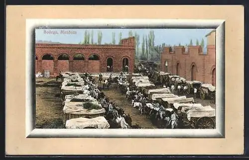 AK Mendoza, Bodega, Pferdegespanne