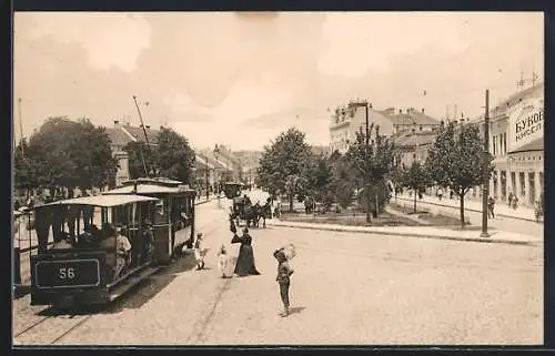 AK Belgrade, Strassenbahn und Pferdekutsche in der Stadt