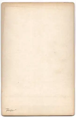 Fotografie Guillaume Berggren, Perser mit Fes, Type Persan Nr. 28