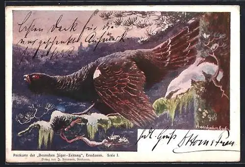 Künstler-Lithographie Deutsche Jäger-Zeitung, Auerhahn