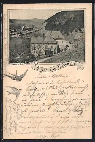 AK Rosenthal, Bahnstation Pirk, Passepartout mit Schwalben