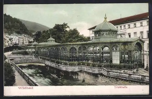 AK Wildbad / Württ., die Trinkhalle