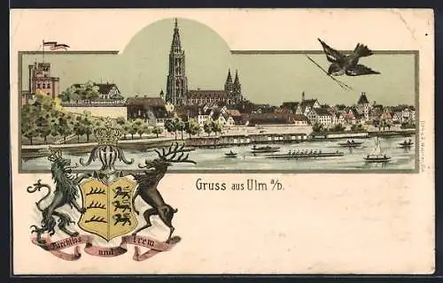 Lithographie Ulm / Donau, Totalansicht mit Münster