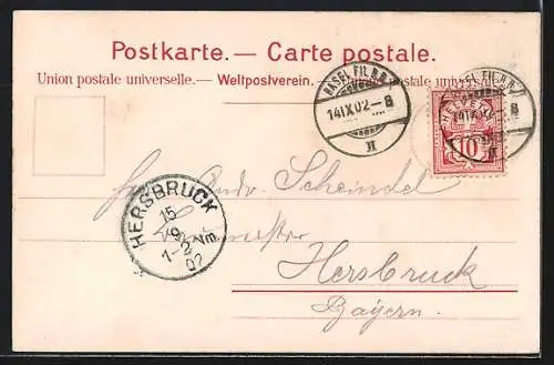 Lithographie Basel, Flusspartie am Münster