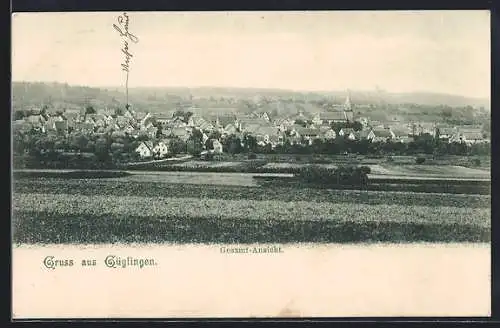 AK Güglingen, Gesamtansicht aus der Ferne