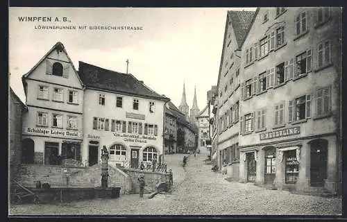 AK Wimpfen a. B., Löwenbrunnen mit Biberbacherstrasse