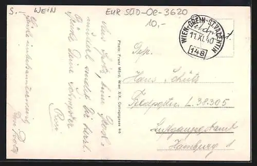 AK Spitz an der Donau, Totalansicht, Riesling Wein