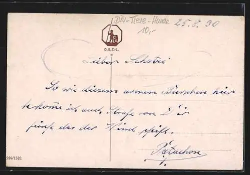 AK Hundeschule, Strenger Lehrer mit Stock