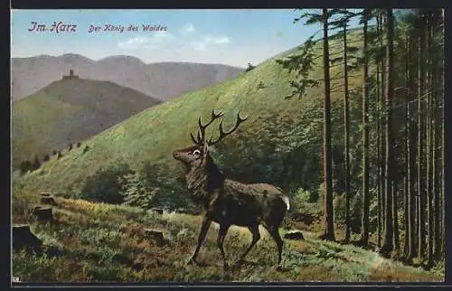 Künstler-AK Hirsch an einem Wald im Harz