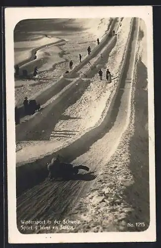 AK Wintersport in der Schweiz, Schlittenfahrt auf steiler Bahn