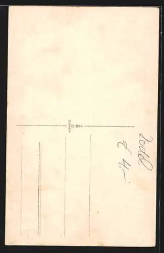 AK Wintersport in der Schweiz, Schlittenfahrt auf steiler Bahn