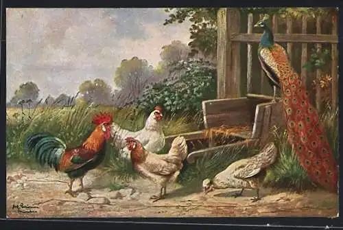 Künstler-AK Alfred Schönian: Hahn mit Hühnern und Pfau am Zaun, Landleben