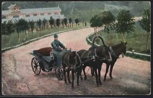 AK Russische Typen, Mann auf seinem Pferdegespann unterwegs