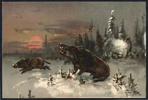 Künstler-AK Wildschweine auf der Flucht am Abend