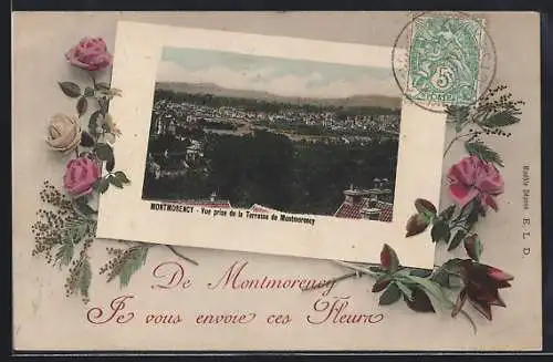 AK Montmorency, Vue prise de la Terrasse de Montmorency