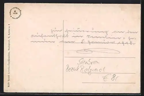 AK Zemun, Totalansicht