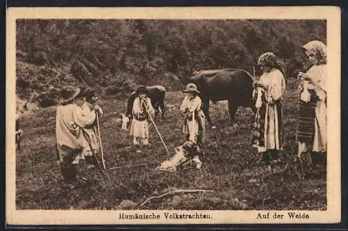 AK Rumänische Volkstrachten, Kinder in Trachten auf der Weide