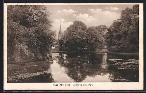 AK Neustadt i. Sa., Arthur-Richter-Park mit Teich