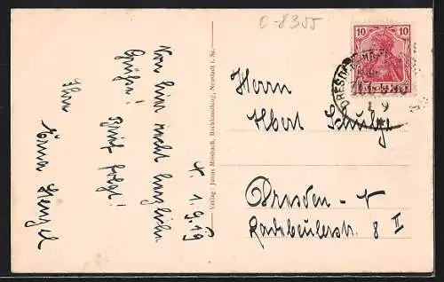 AK Neustadt i. Sa., Arthur-Richter-Park mit Teich