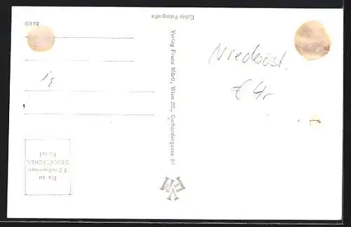 AK Lichtenegg /N.-Oe., Strassenpartie mit Tabak-Trafik