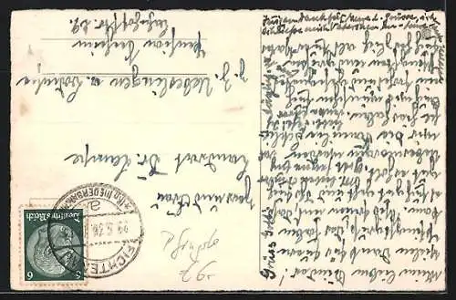 AK Pfingstgruss, Maikäfer, Birkenast