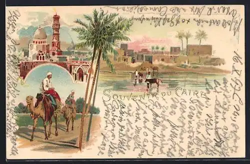 Lithographie Kairo, Kamel und Kühe vor Ile de Rodah, Moschee, Beduinen