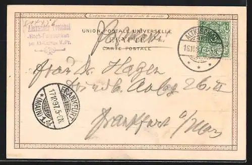 Lithographie Kairo, Kamel und Kühe vor Ile de Rodah, Moschee, Beduinen