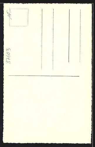 AK Silberborn / Solling, verschiedene Ortsansichten