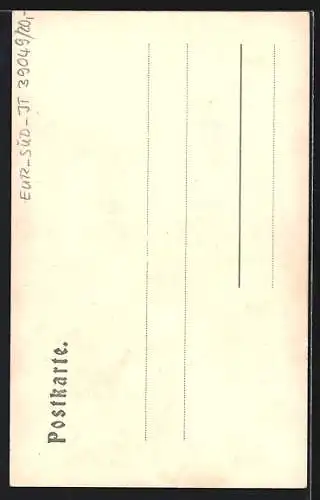 AK Sterzing, Strassenpartie mit Zunftschildern