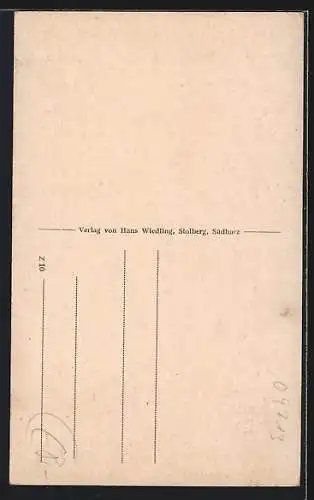 AK Josephshöhe /Stolberg, Imposanter Aussichtsturm