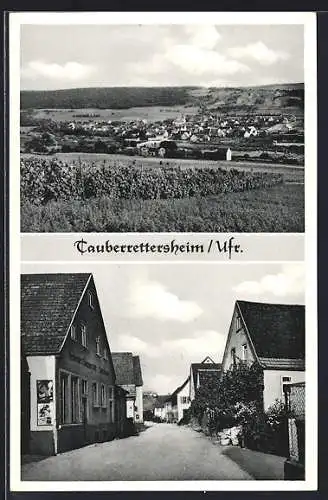 AK Tauberrettersheim /Ufr., Ortsansicht