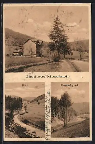 AK Manebach, Gasthaus Moosbach, Moosbachgrund, Ilmtal