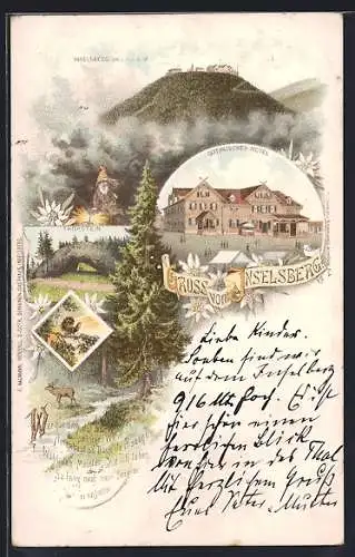 Lithographie Inselsberg, Gothaische Hotel, Thorstein, Panorama